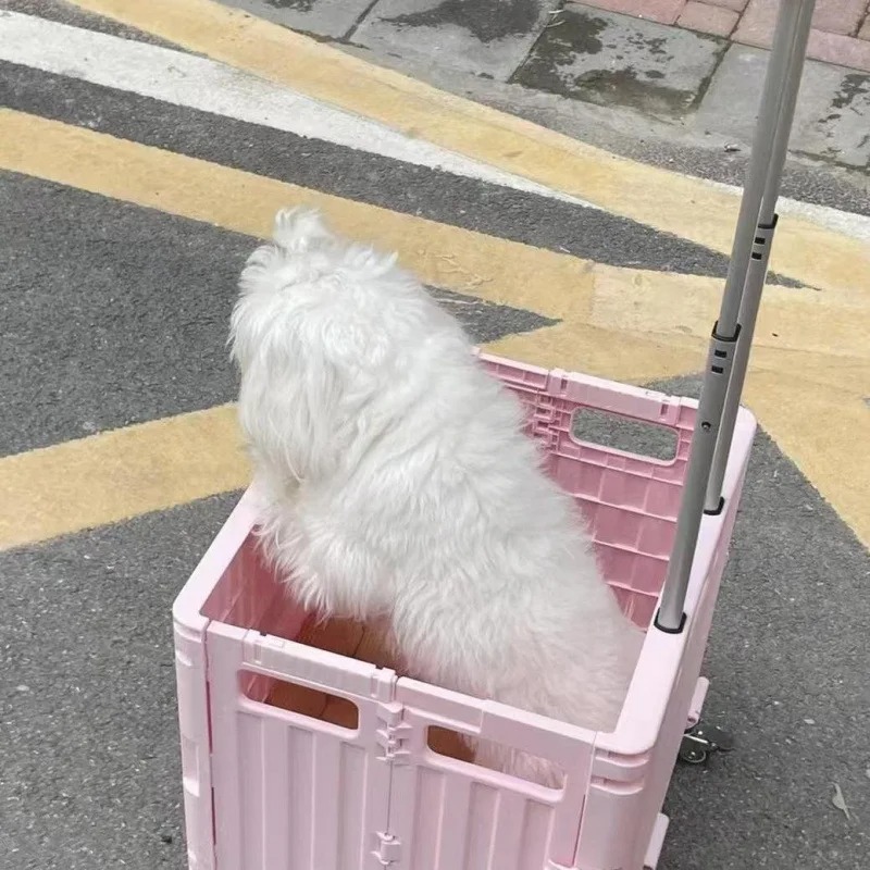 접이식 편리한 슈퍼마켓 쇼핑 카트 트롤리, 식료품 및  - Outdoor Camping Trolley 리뷰 및 가격