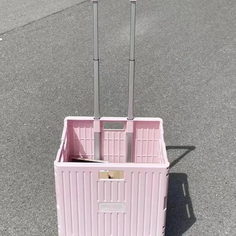 접이식 편리한 슈퍼마켓 쇼핑 카트 트롤리, 식료품 및  - Outdoor Camping Trolley 리뷰 및 가격