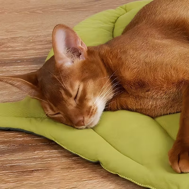 양면 사용 가능한 부드러운 잎사귀 모양 애완동물 쿠션, - Outdoor Camping Dog Bed 리뷰 및 가격