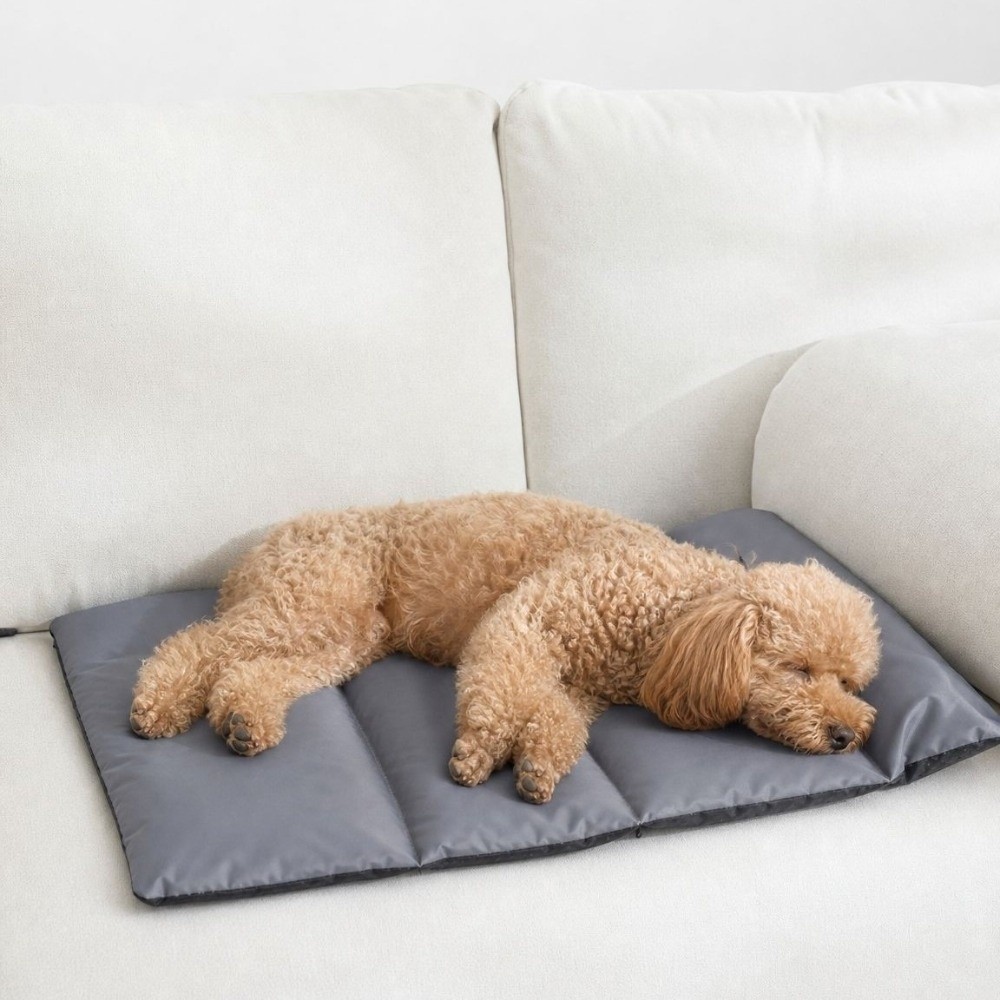 접이식 애완동물 수면 매트 방수 통기성 자동차 여행용  - Outdoor Camping Dog Bed 리뷰 및 가격