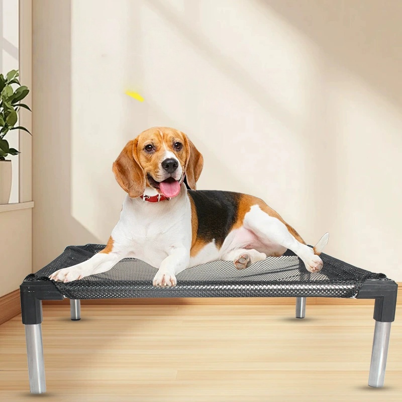 냉각 강화 개 침대 - 개, 고양이용으로 높이 조절,  - Outdoor Camping Dog Bed 리뷰 및 가격