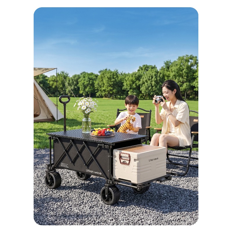 접이식 캠핑용 수레, 야외용, 휴대용, 어린이용, 피크 - Outdoor Camping Trolley 리뷰 및 가격