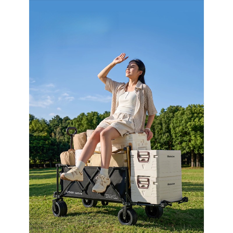 접이식 캠핑용 수레, 야외용, 휴대용, 어린이용, 피크 - Outdoor Camping Trolley 리뷰 및 가격
