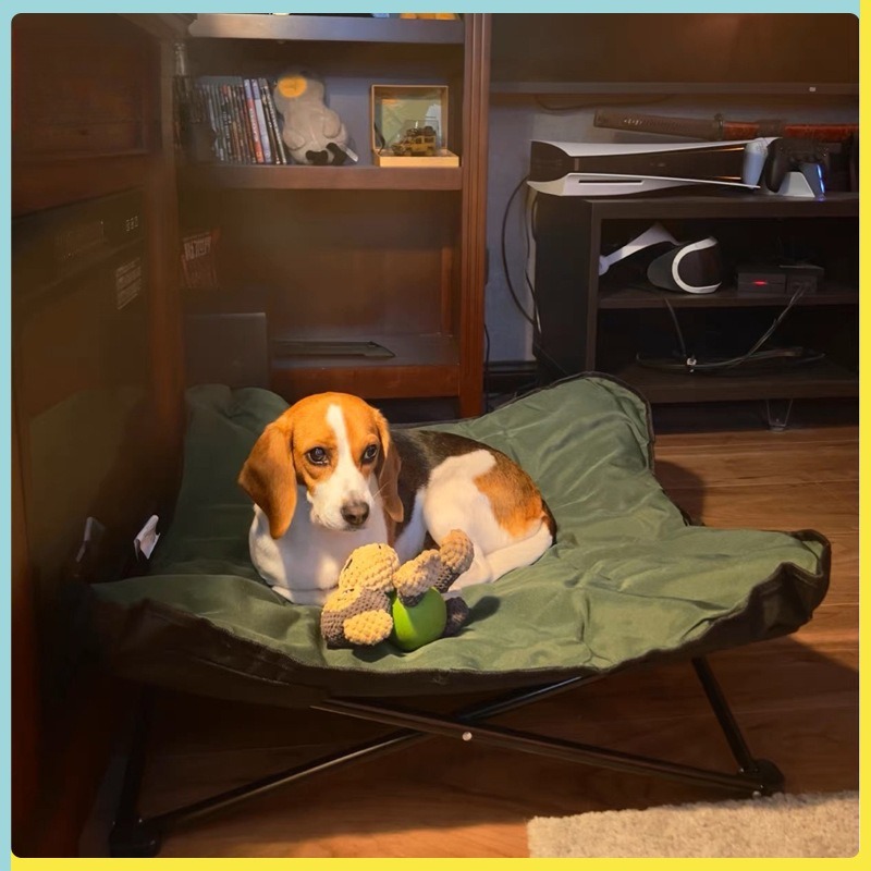 휴대용 접이식 애완동물 침대 야외 캠핑 여행용 강아지  - Outdoor Camping Dog Bed 리뷰 및 가격