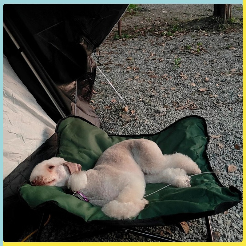 휴대용 접이식 애완동물 침대 야외 캠핑 여행용 강아지  - Outdoor Camping Dog Bed 리뷰 및 가격