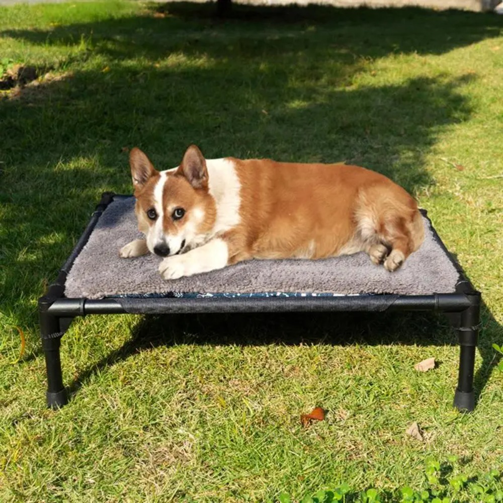 야외용 높이 조절 가능한 접이식 애견 침대, 탈부착 가 - Outdoor Camping Dog Bed 리뷰 및 가격