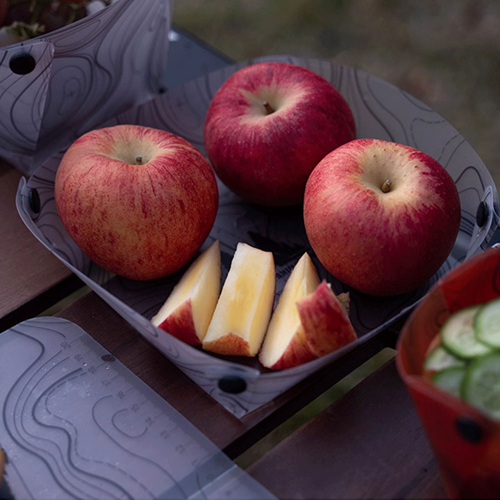 야외용 경량 접이식 식기 휴대용 그릇 저녁 접시 커피  - Outdoor Camping Dining Set 리뷰 및 가격