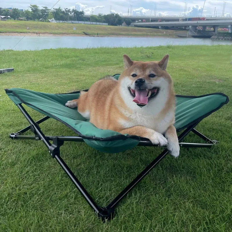 고급스러운 현대식 휴대용 강아지 침대 방수 고양이 매트 - Outdoor Camping Dog Bed 리뷰 및 가격